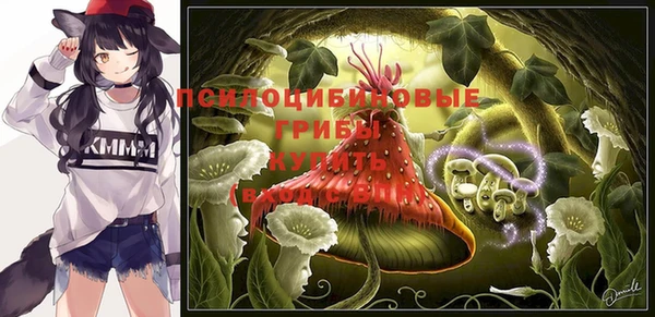 меф Нягань