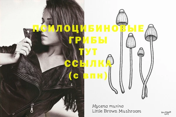 меф Нягань